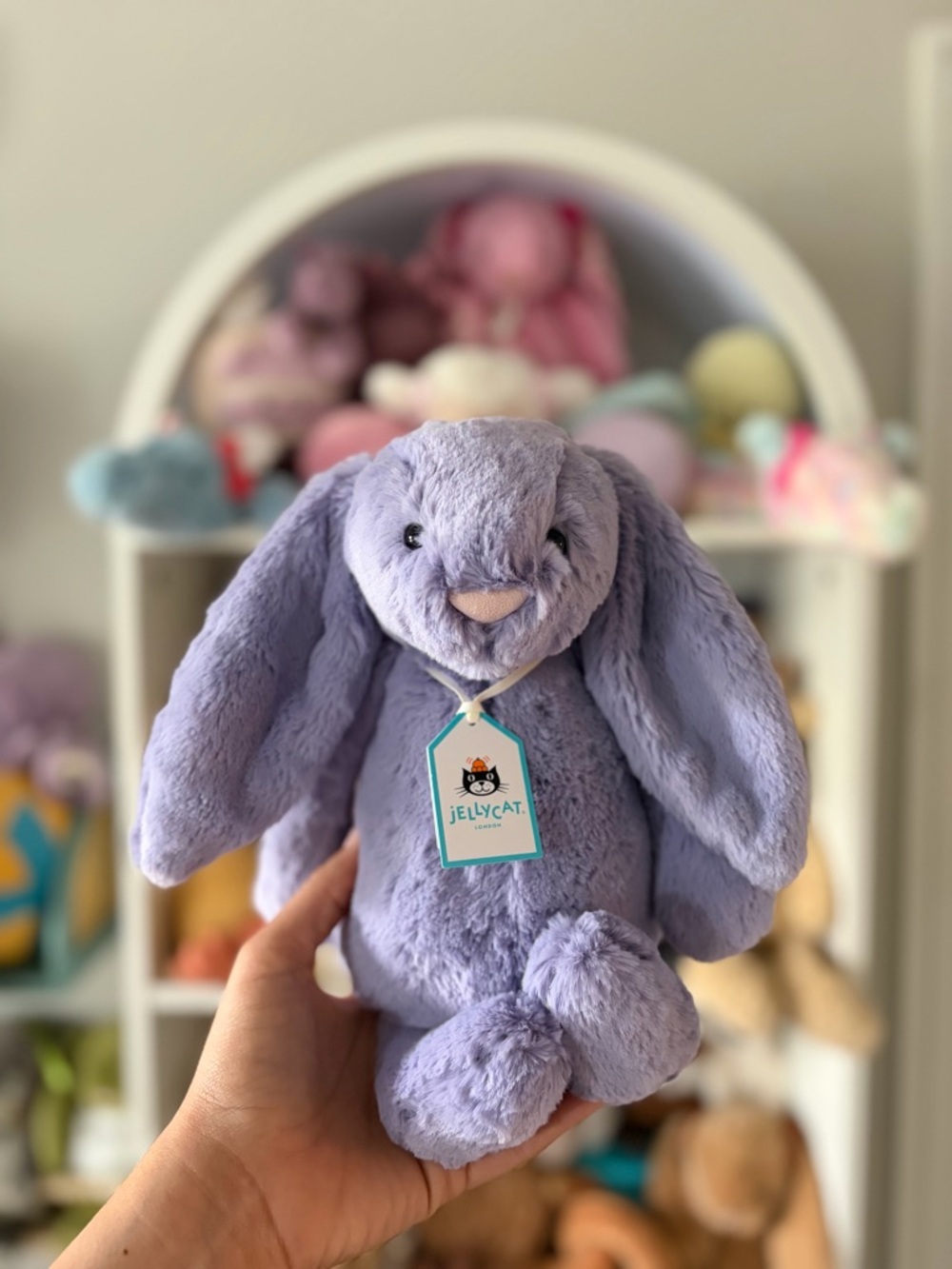 Jellycat Bashful Viola Bunny - Authentic & BNWT!